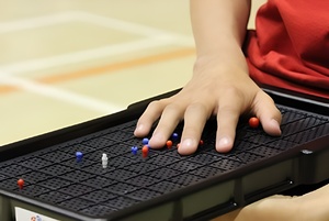 Сетка для игры тактильная (Бочча) - fgospostavki.ru - Ейск