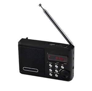 Радиоприемник цифровой с крупными кнопками - fgospostavki.ru - Ейск