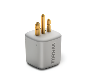 FM-приемник Roger X - fgospostavki.ru - Ейск