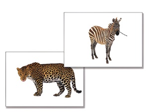 Дидактическое пособие "Дикие животные" - fgospostavki.ru - Ейск