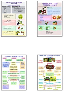 Плакаты ПРОФТЕХ "Классификация овощей и переработка" (8 пл, винил, 70х100) - fgospostavki.ru - Ейск
