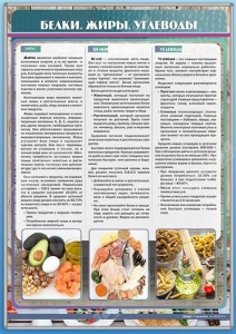 Стенд "Белки. Жиры. Углеводы" - fgospostavki.ru - Ейск