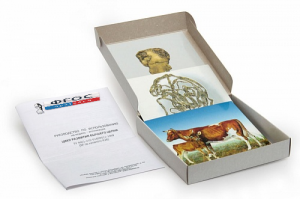 Модель-аппликация "Цикл развития бычьего цепня" (набор из 7 карт) - fgospostavki.ru - Ейск