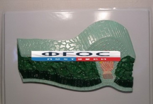 Модель барельефная "Клеточное строение листа" - fgospostavki.ru - Ейск