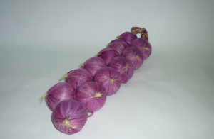 Муляжи "Связка лука" - fgospostavki.ru - Ейск