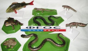 Комплект моделей "Позвоночные животные" (8 штук) - fgospostavki.ru - Ейск