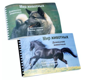 Пособие для слабовидящих - Домашние животные - fgospostavki.ru - Ейск