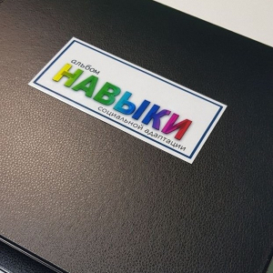 Навыки социальной адаптации. Развивающие пособие на липучках  - fgospostavki.ru - Ейск