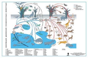 Комплект таблиц "Эволюция движений позвоночных животных" - fgospostavki.ru - Ейск