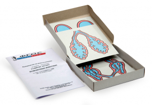 Модель-аппликация "Развитие легких позвоночных животных" (набор из 5 карт) - fgospostavki.ru - Ейск