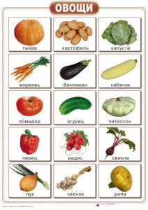 Таблицы "Окружающий мир" (формат А2, ламинированные, 10 таблиц) - fgospostavki.ru - Ейск