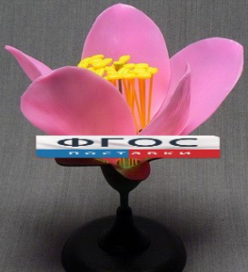 Модель "Цветок персика" - fgospostavki.ru - Ейск