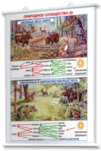 Плакаты по географии России для оформления кабинета. - fgospostavki.ru - Ейск