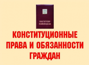 Комплект плакатов "Конституционные права и обязанности граждан" - fgospostavki.ru - Ейск