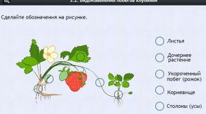 Интерактивные курсы. Биология 7 класс. Расширенный. - fgospostavki.ru - Ейск