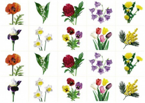 Комплект карточек "Запоминай, играй, считай" - Цветы - fgospostavki.ru - Ейск