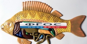 Модель барельефная "Внутреннее строение рыбы" - fgospostavki.ru - Ейск