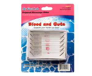 Набор микропрепаратов для микроскопа №1 «Человек» - fgospostavki.ru - Ейск