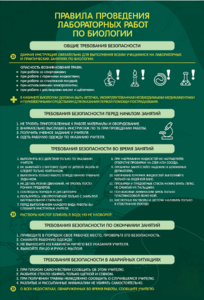 Стенд "Правила выполнения лабораторных работ по биологии" Вариант 1 - fgospostavki.ru - Ейск