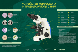 Электрифицированный стенд "Устройство микроскопа и правила работы c ним" - fgospostavki.ru - Ейск