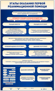 Электрифицированный стенд-тренажер "Этапы оказания первой реанимационной помощи" - fgospostavki.ru - Ейск