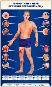 Электрифицированный стенд-тренажер "Травматизм и меры оказания первой помощи" - fgospostavki.ru - Ейск