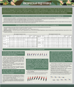 Стенд "Физическая подготовка" - fgospostavki.ru - Ейск
