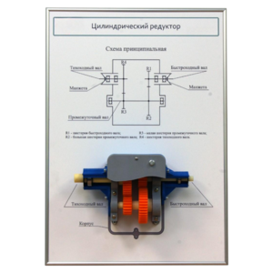 Плакат планшет с демонстрационной моделью «Цилиндрический редуктор» - fgospostavki.ru - Ейск