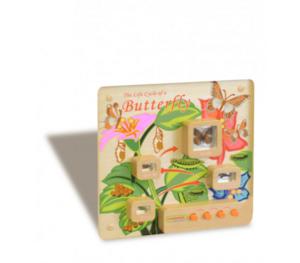 Панель «Жизненный цикл бабочки» - fgospostavki.ru - Ейск