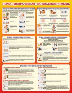 Стенд "Первая доврачебная неотложная помощь" - fgospostavki.ru - Ейск