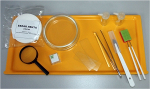 Набор для препарирования по биологии - fgospostavki.ru - Ейск