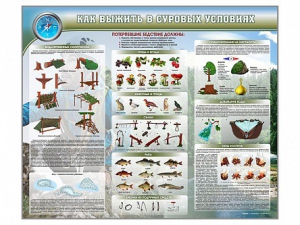 Стенд "Как выжить в суровых условиях" - fgospostavki.ru - Ейск