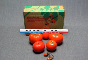 Набор муляжей "Дикая форма и культурные сорта томатов" - fgospostavki.ru - Ейск