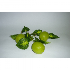 Ветка муляжей "Лайм" - fgospostavki.ru - Ейск