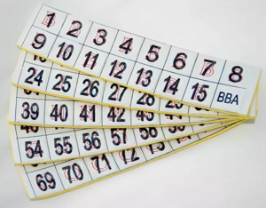 Фишки для игры «Бинго» со шрифтом Брайля - fgospostavki.ru - Ейск