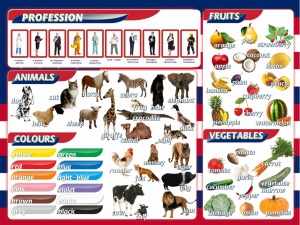 Стенд "Цвета, животные, профессии, фрукты, овощи" - fgospostavki.ru - Ейск