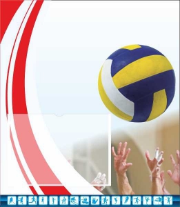 Стенд "Спортивный (волейбол)" - fgospostavki.ru - Ейск