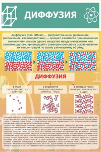 Стенд "Диффузия" - fgospostavki.ru - Ейск