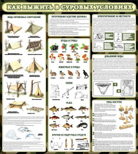 Стенд информационный "Как выжить в суровых условиях" - fgospostavki.ru - Ейск