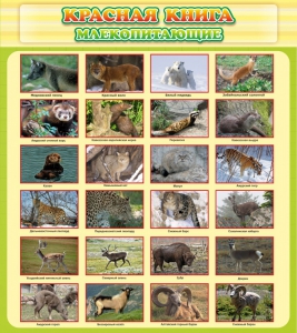 Стенд "Красная книга - млекопитающие" - fgospostavki.ru - Ейск