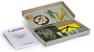 Модель-аппликация "Основные направления эволюции" (набор из 33 карт) - fgospostavki.ru - Ейск