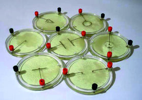 Демонстрационный комплект «Силовые линии электрического поля разных систем зарядов» - fgospostavki.ru - Ейск