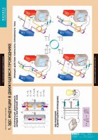 Комплект таблиц. Физика. Электромагнетизм. - fgospostavki.ru - Ейск
