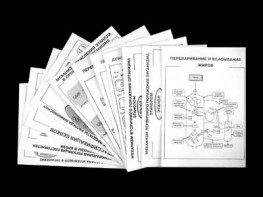 Комплект таблиц для 9-11 классов "Валеология и органическая химия" Комплект 2 - fgospostavki.ru - Ейск