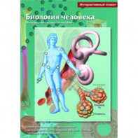 Интерактивные плакаты. Биология человека. Программно-методический комплекс - fgospostavki.ru - Ейск