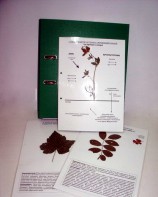 Гербарий к курсу основ общей биологии (20 листов, ламинированный) - fgospostavki.ru - Ейск