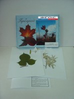 Гербарий "Медоносные растения" (24 вида) - fgospostavki.ru - Ейск