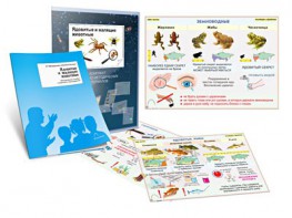 Комплект кодотранспарантов "Ядовитые и жалящие животные" - fgospostavki.ru - Ейск