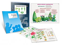Комплект кодотранспарантов "Культурные растения" - fgospostavki.ru - Ейск