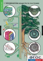 Комплект таблиц. Биология. Растение – живой организм. - fgospostavki.ru - Ейск